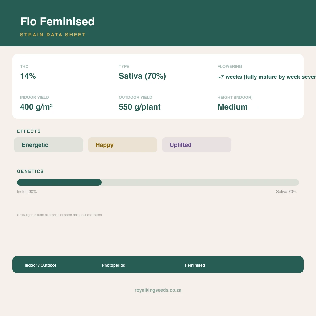 Flo 30% indica / 70% sativa flower with visible trichomes