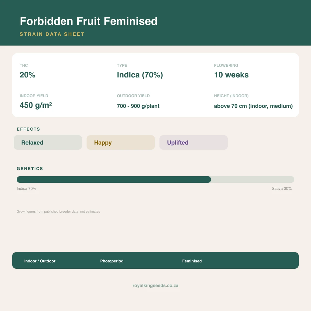 Forbidden Fruit 70% indica / 30% sativa flower with visible trichomes