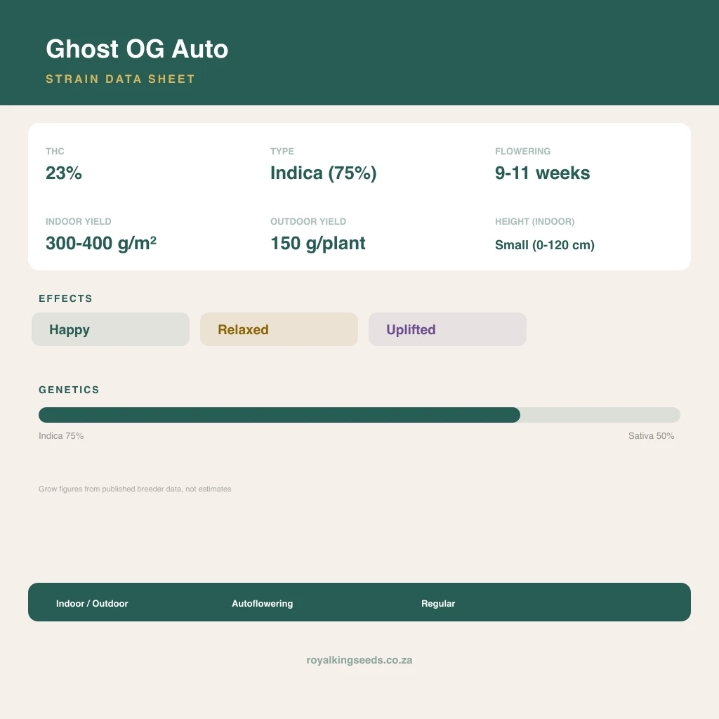 Ghost OG 60% indica / 40% sativa flower with visible trichomes