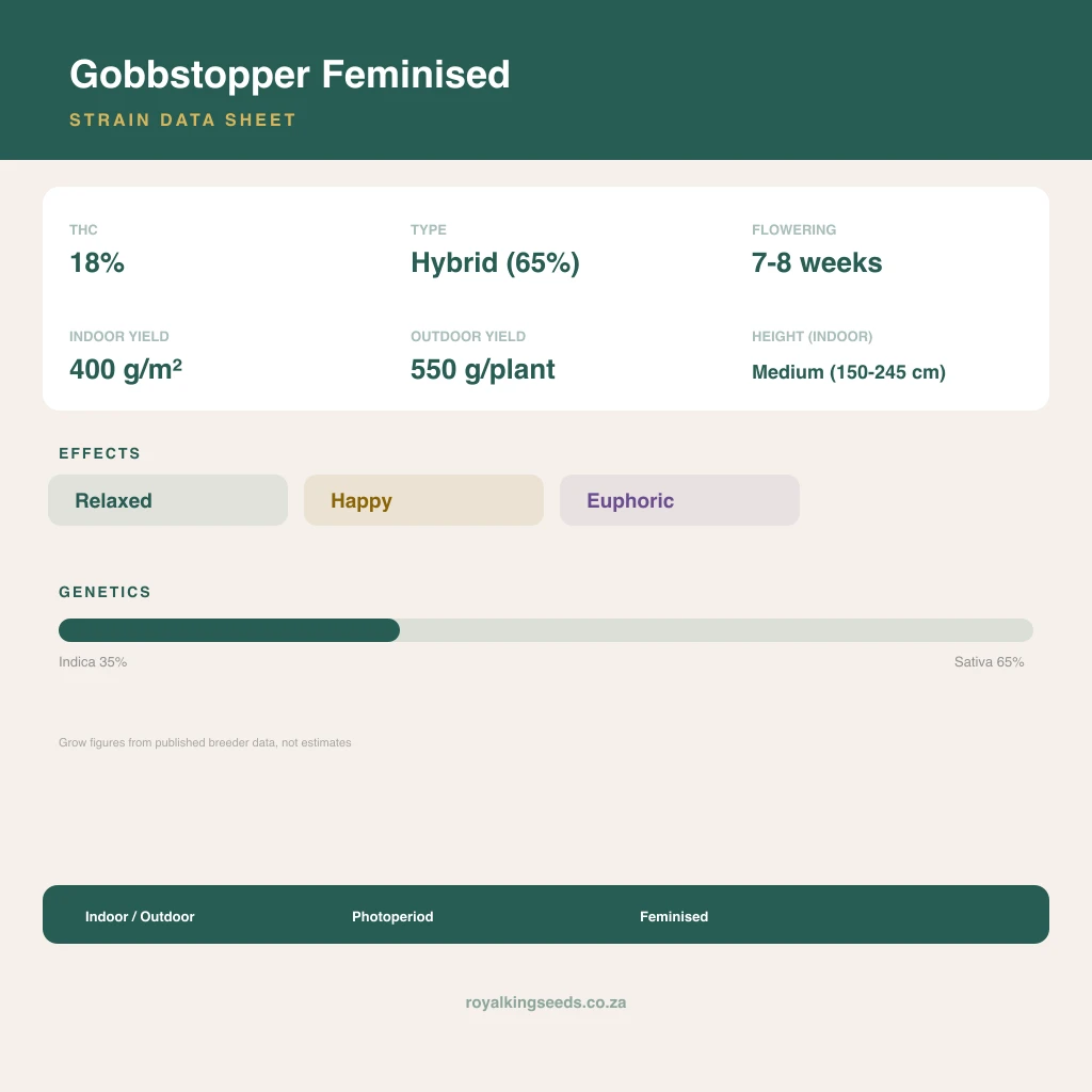 Gobbstopper 35% indica / 65% sativa flower with visible trichomes
