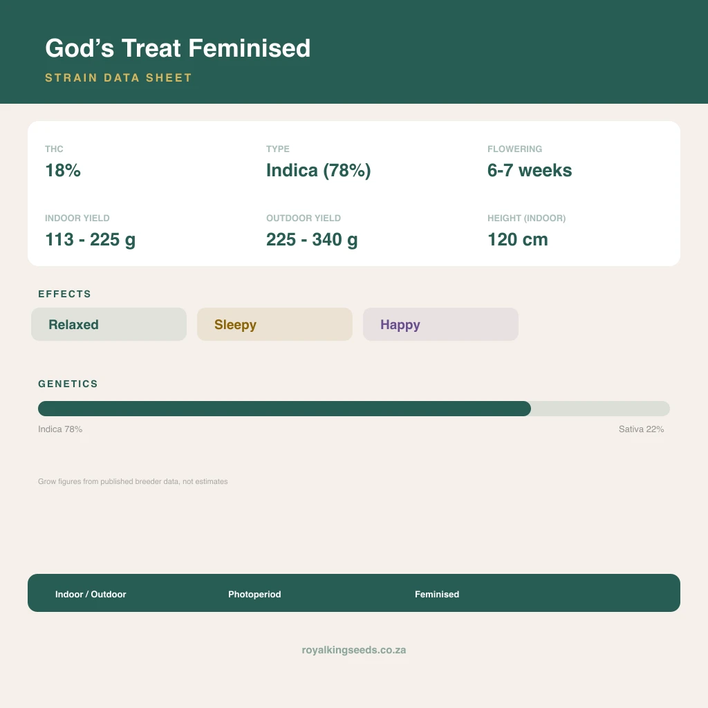 God’s Treat 78% indica / 22% sativa flower with visible trichomes