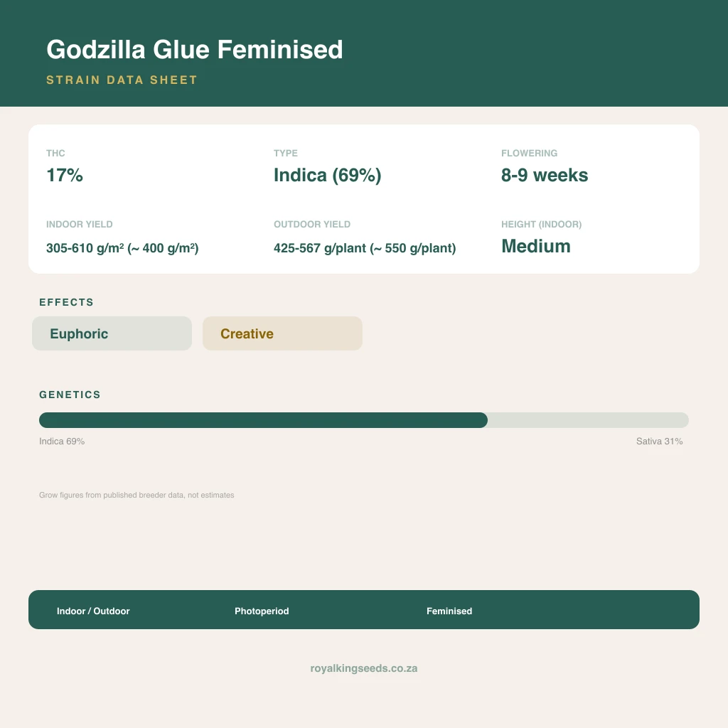 Godzilla Glue 69% indica / 31% sativa flower with visible trichomes