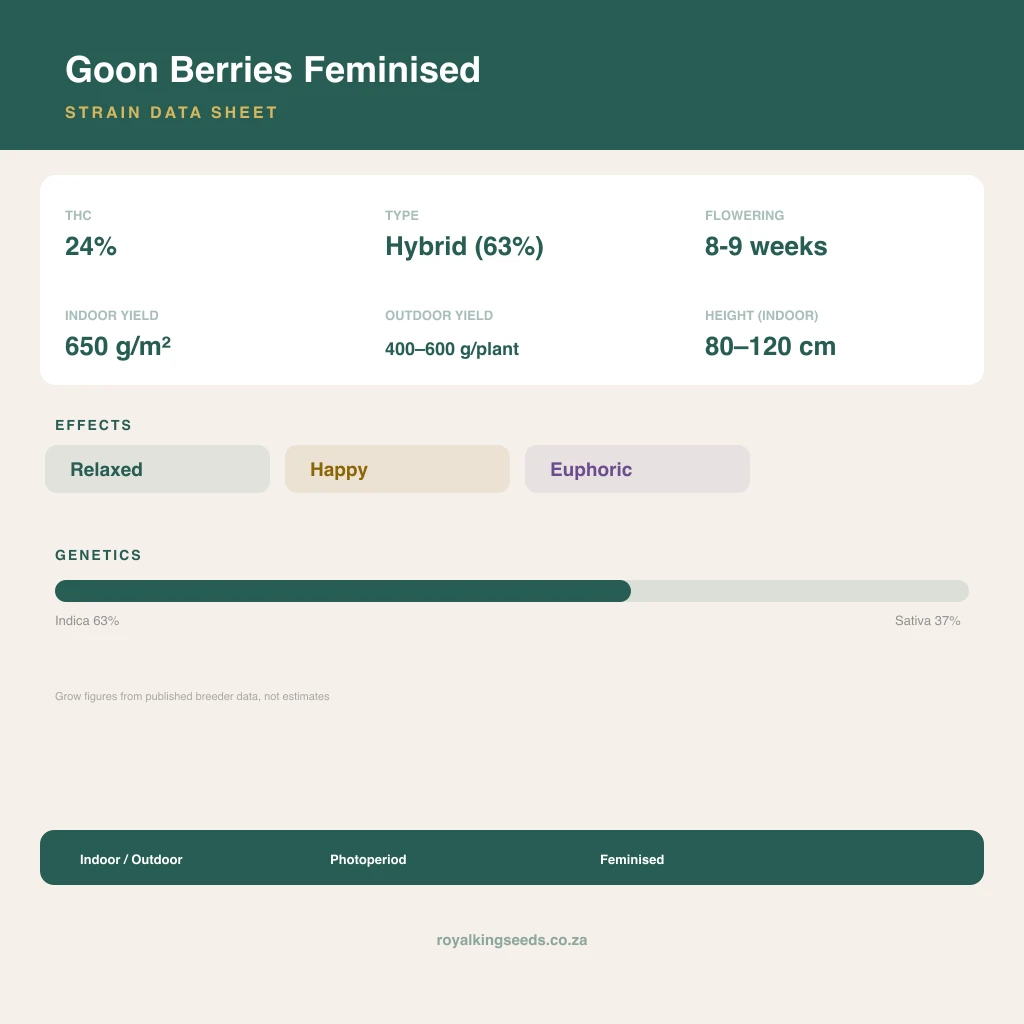Goon Berries 63% indica / 37% sativa flower with visible trichomes