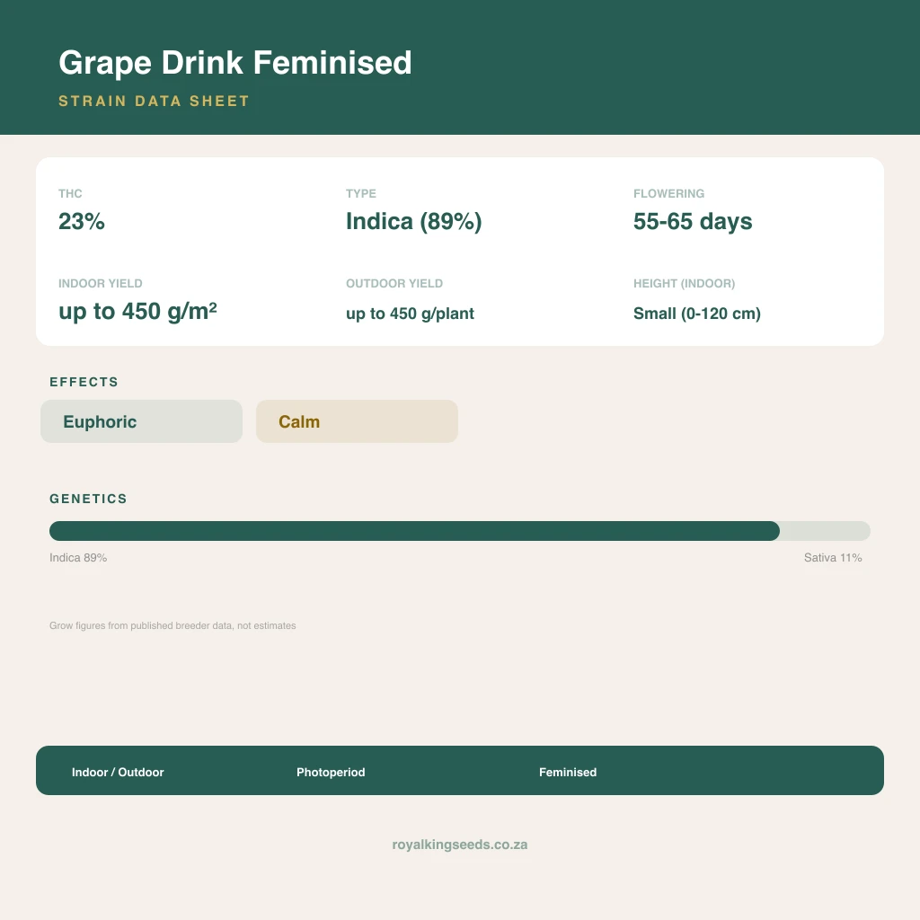 Grape Drink 89% indica / 11% sativa flower with visible trichomes