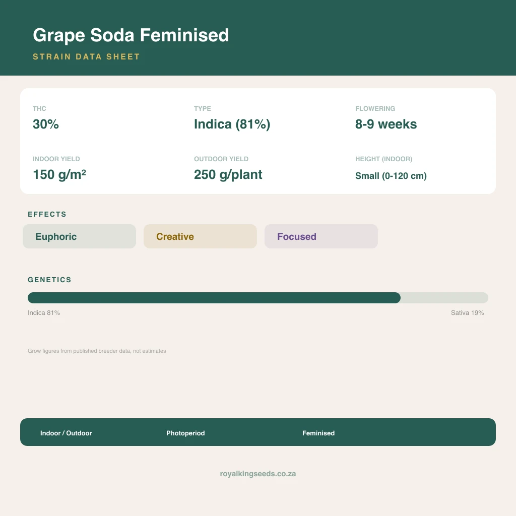Grape Soda 81% indica / 19% sativa flower with visible trichomes