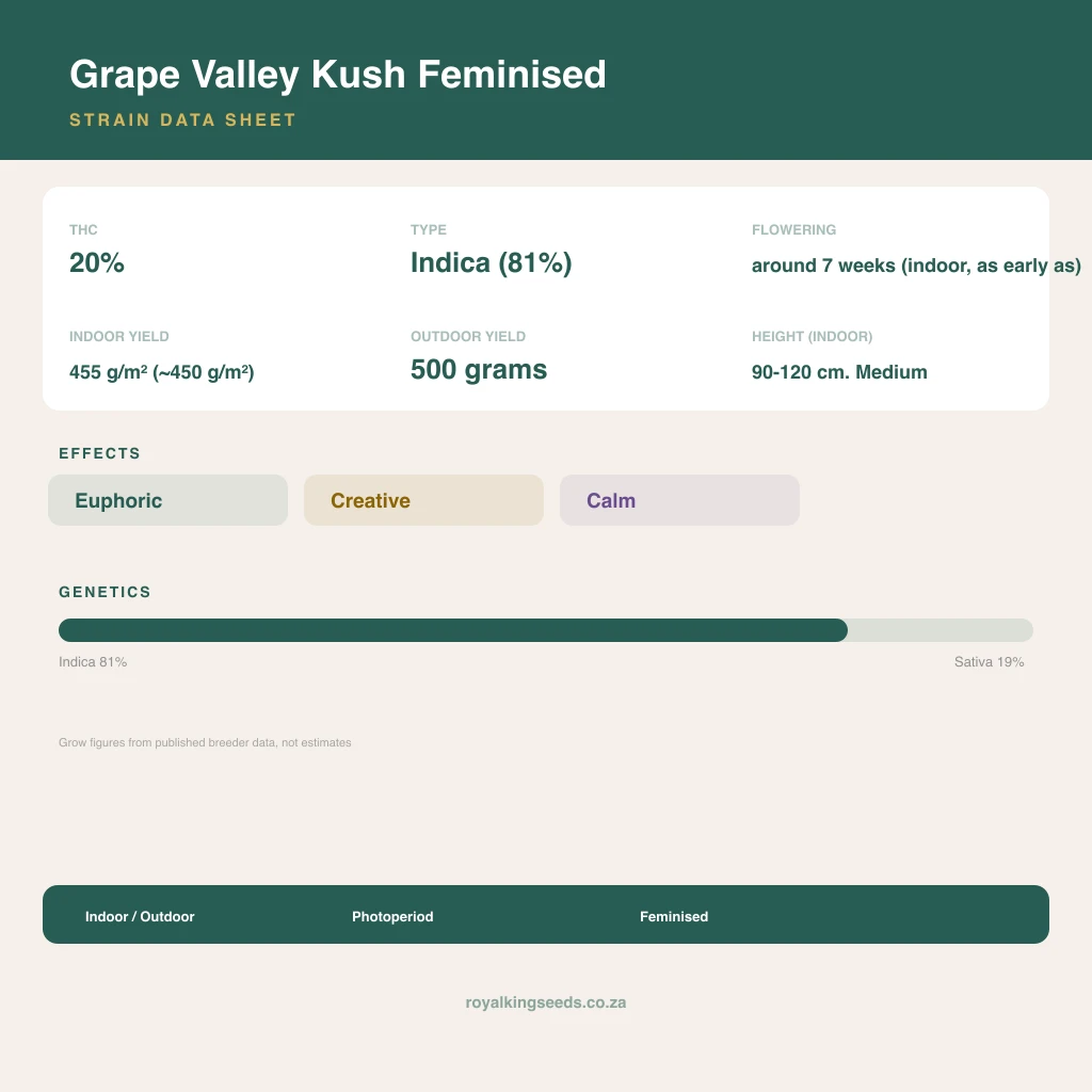 Grape Valley Kush 81% indica / 19% sativa flower with visible trichomes
