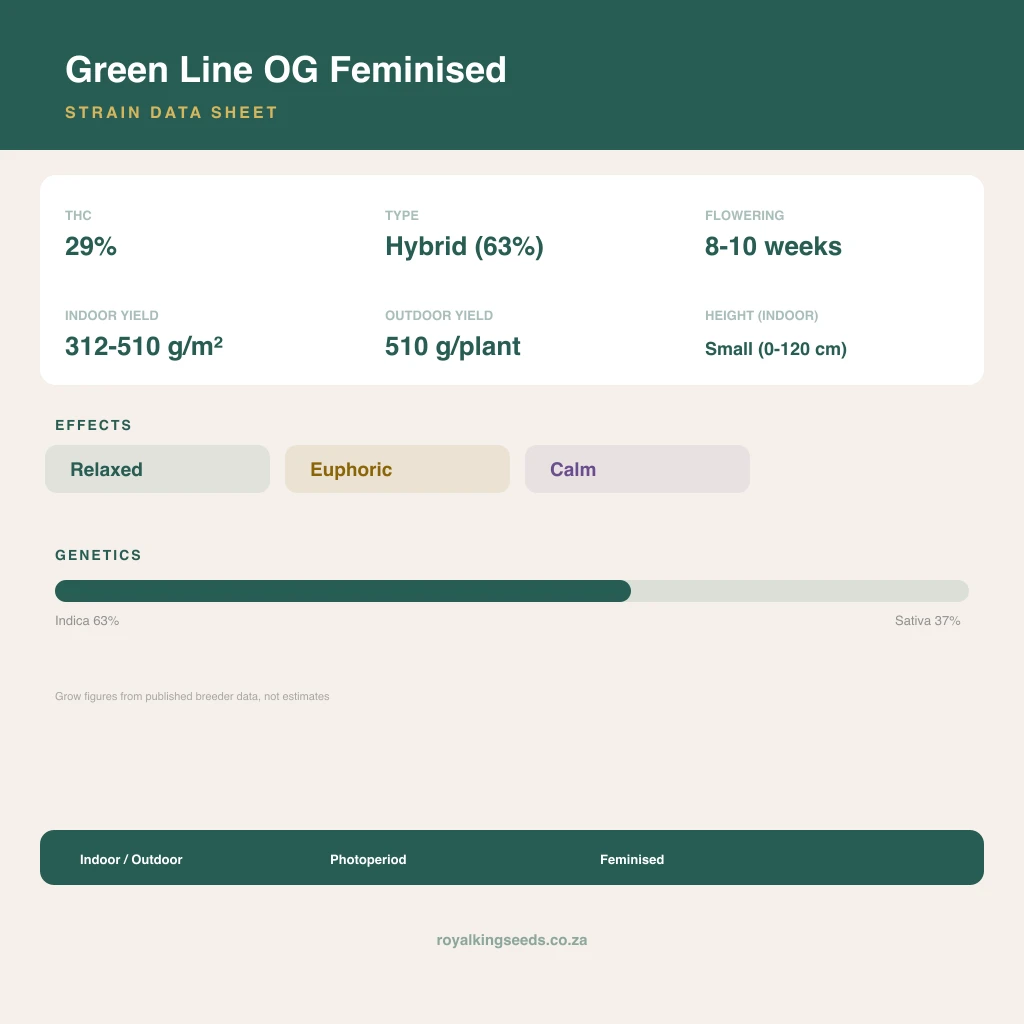Green Line OG 63% indica / 37% sativa flower with visible trichomes