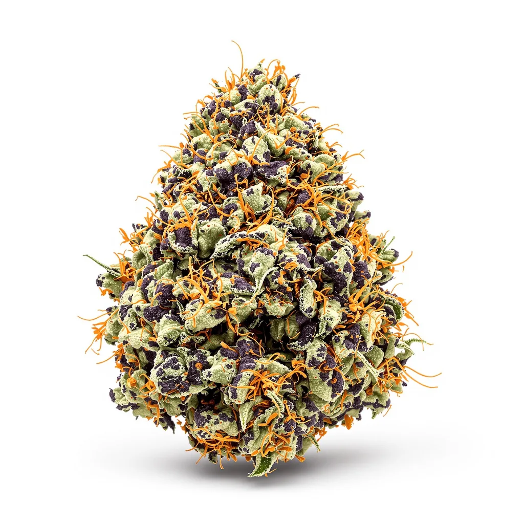 Hammerhead 71% indica / 29% sativa flower with visible trichomes