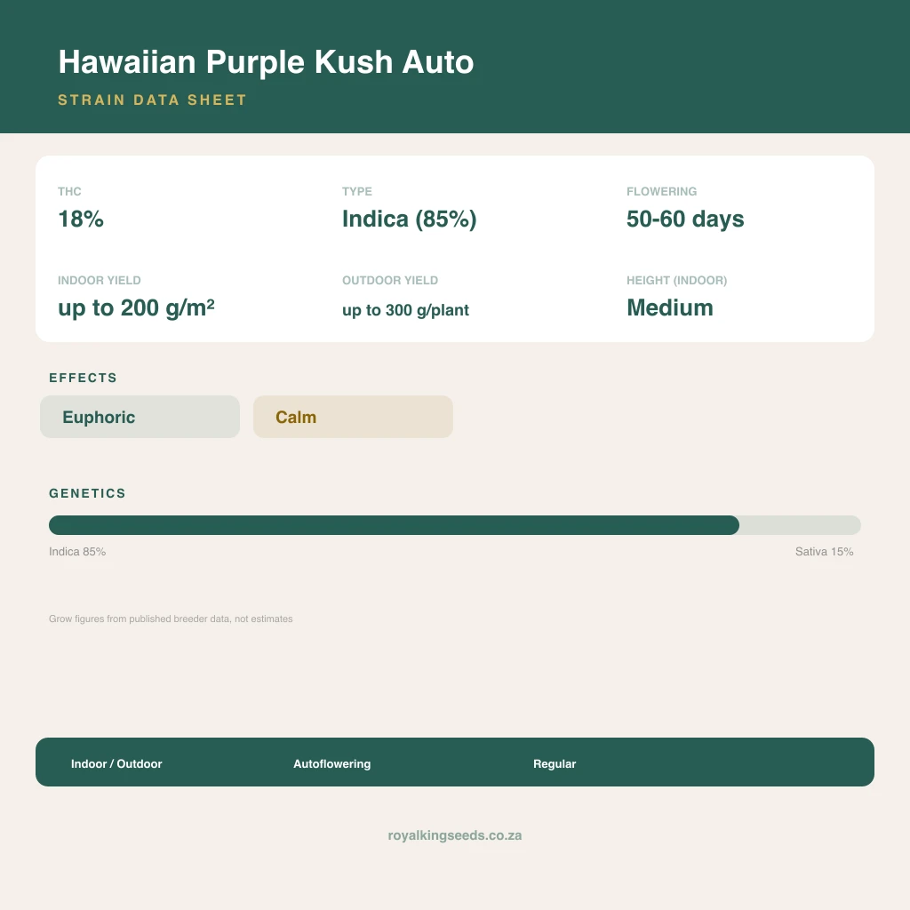 Hawaiian Purple Kush 85% indica / 15% sativa flower with visible trichomes