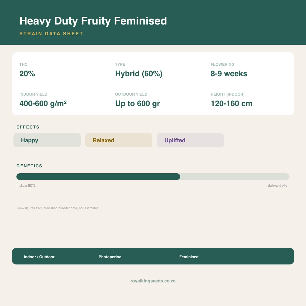 Heavy Duty Fruity 55% indica / 45% sativa flower with visible trichomes