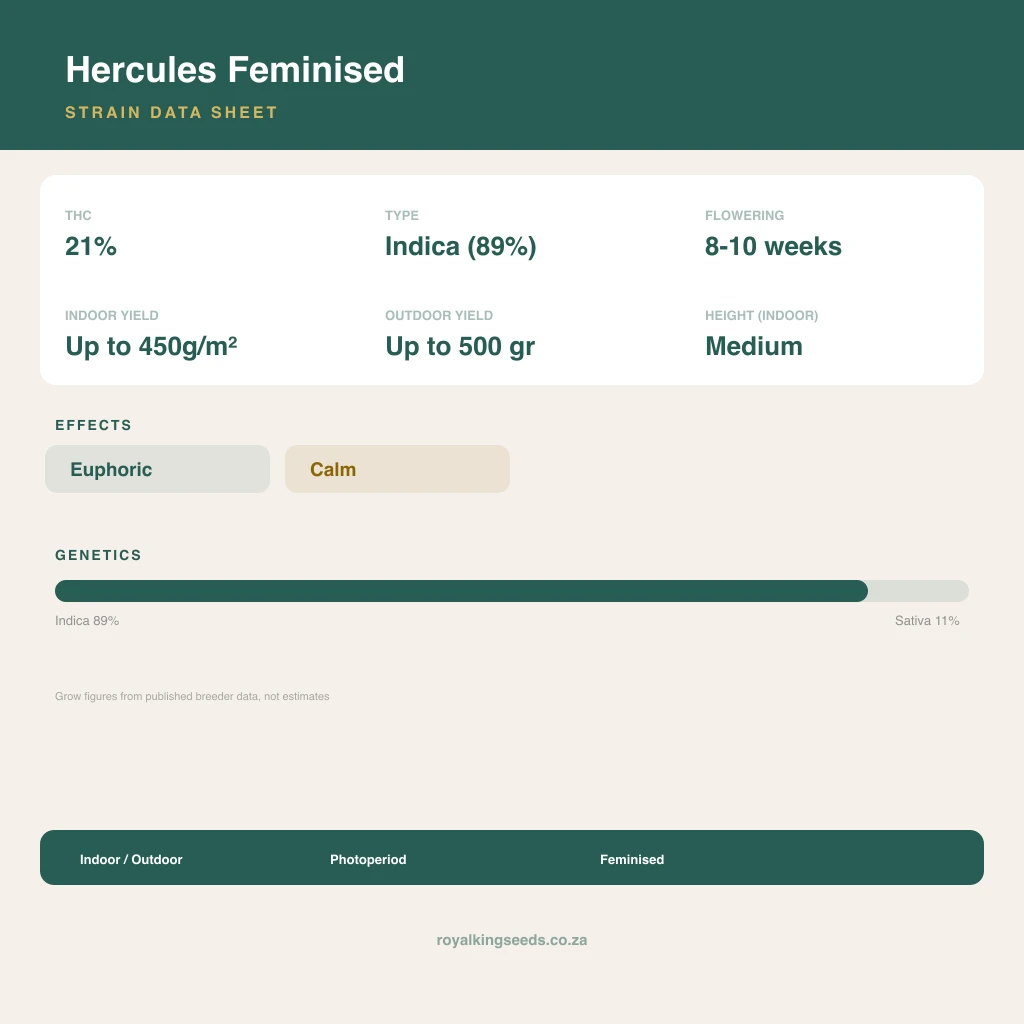 Hercules 89% indica / 11% sativa flower with visible trichomes