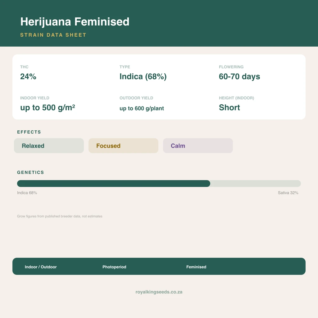 Herijuana 68% indica / 32% sativa flower with visible trichomes