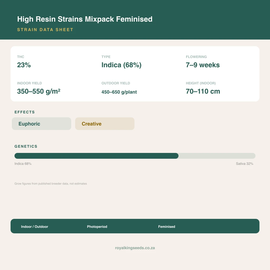 High Resin Strains Mixpack 68% indica / 32% sativa flower with visible trichomes