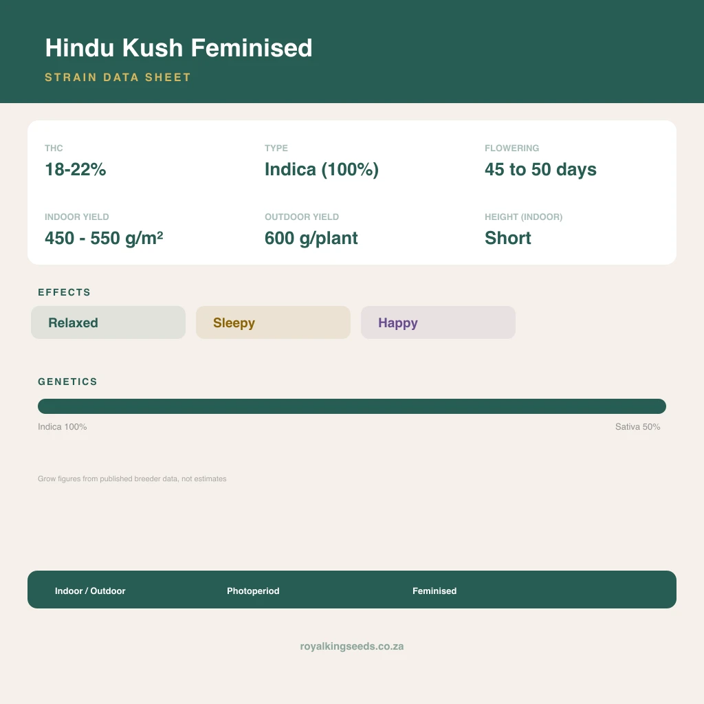 Hindu Kush 67% indica / 33% sativa flower with visible trichomes