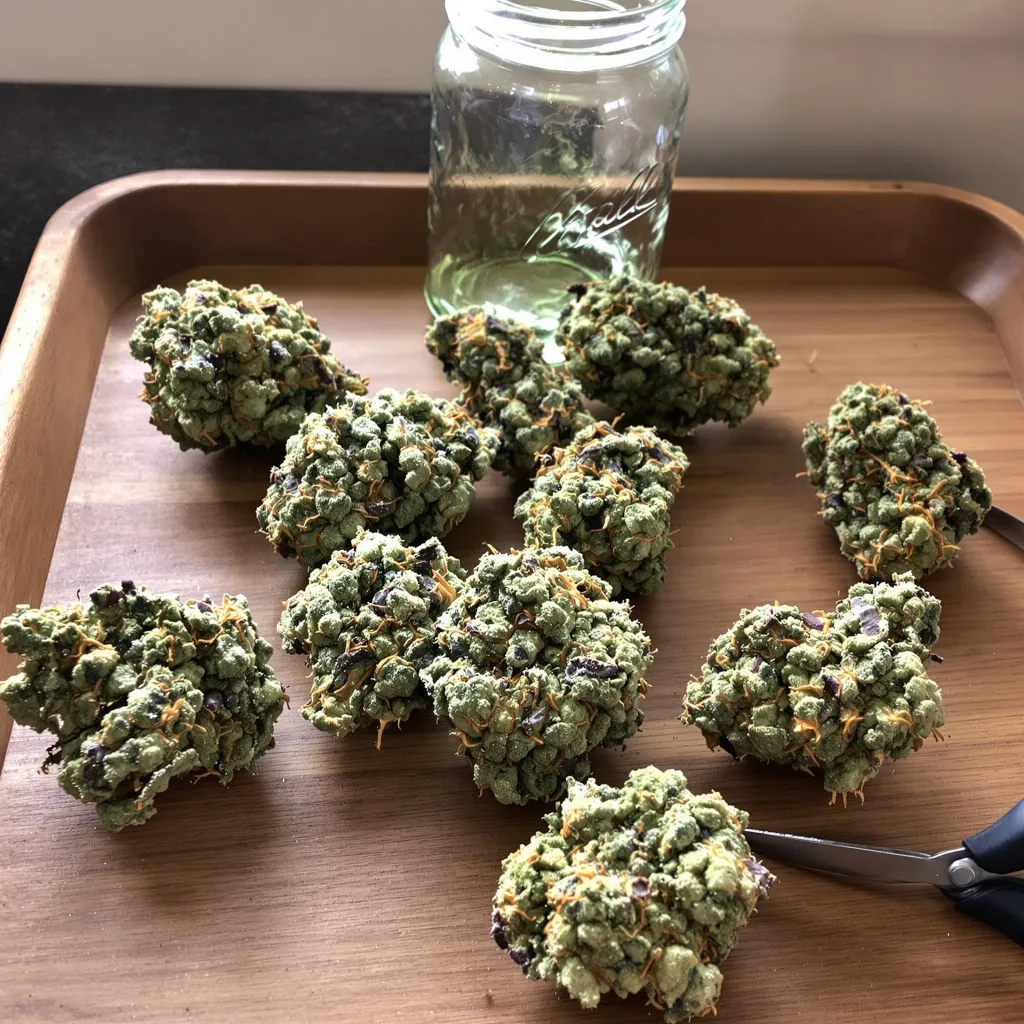 Hippie Crippler 50% indica / 50% sativa flower with visible trichomes