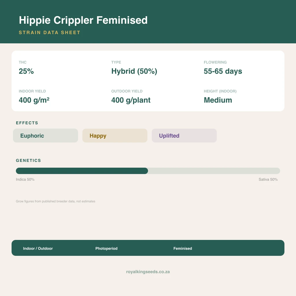 Hippie Crippler 50% indica / 50% sativa flower with visible trichomes