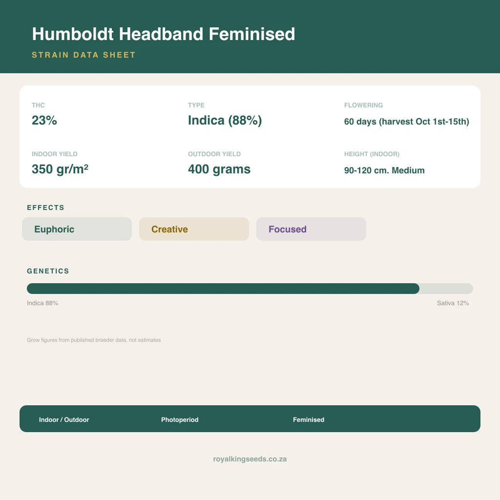 Humboldt Headband 88% indica / 12% sativa flower with visible trichomes