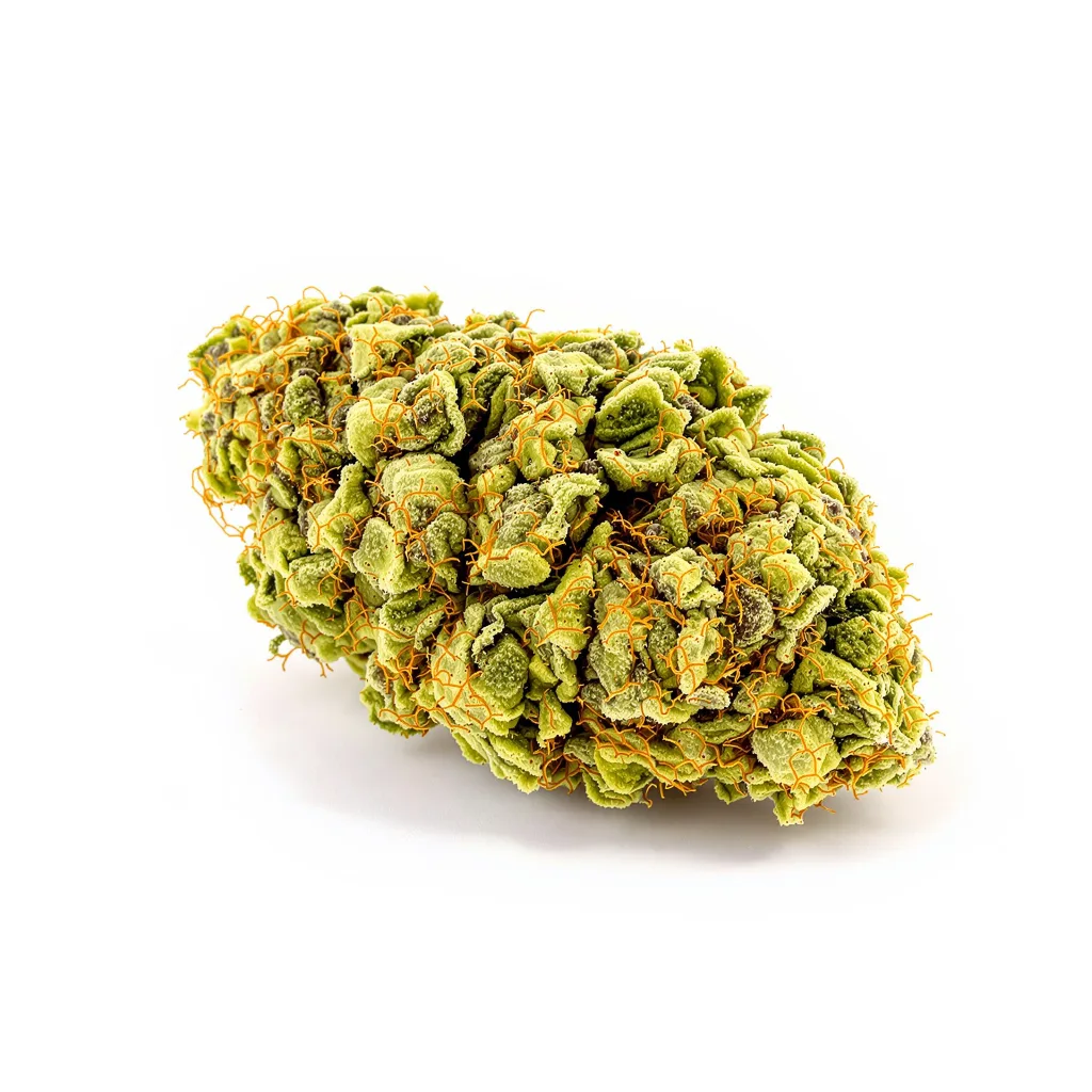 Industrial Plant 20% indica / 80% sativa flower with visible trichomes