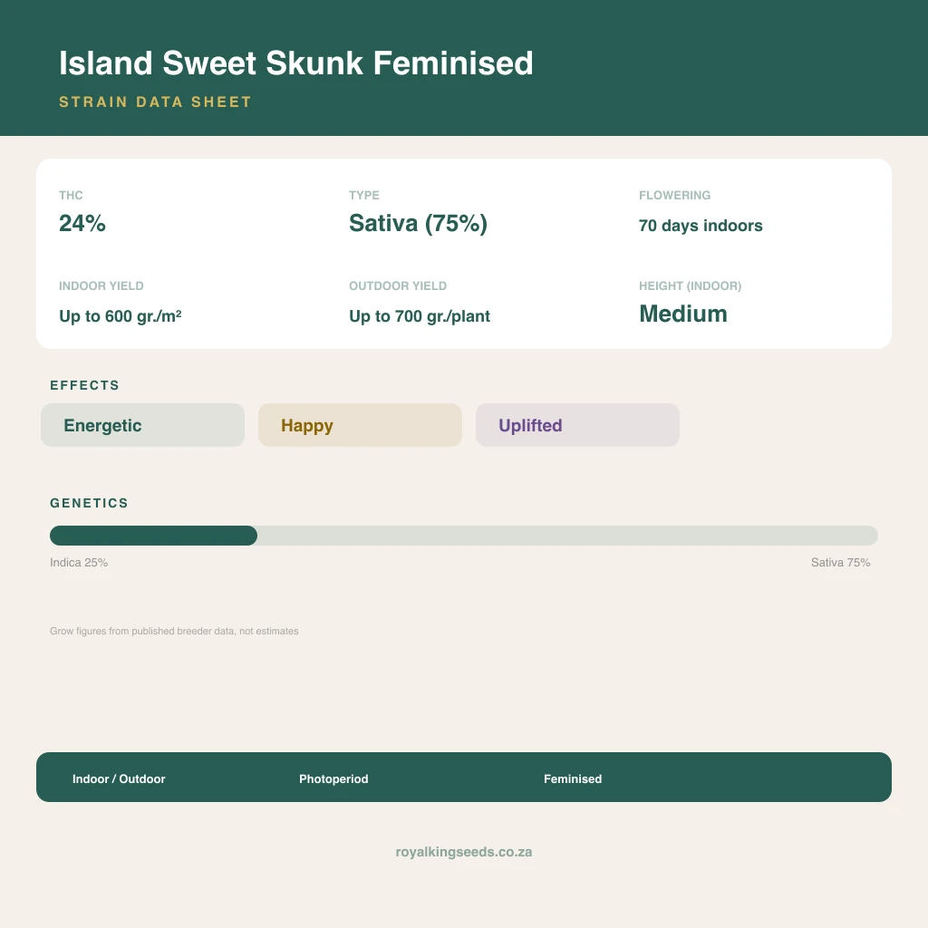 Island Sweet Skunk 25% indica / 75% sativa flower with visible trichomes