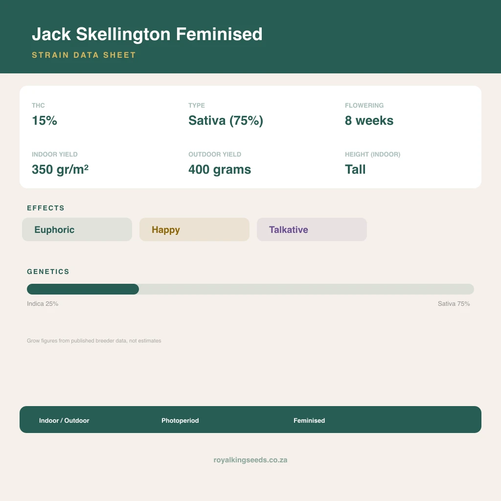 Jack Skellington 25% indica / 75% sativa flower with visible trichomes