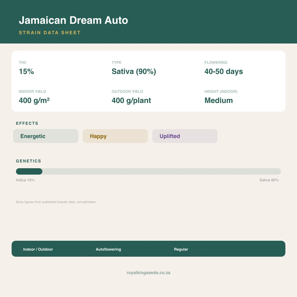 Jamaican Dream 10% indica / 90% sativa flower with visible trichomes