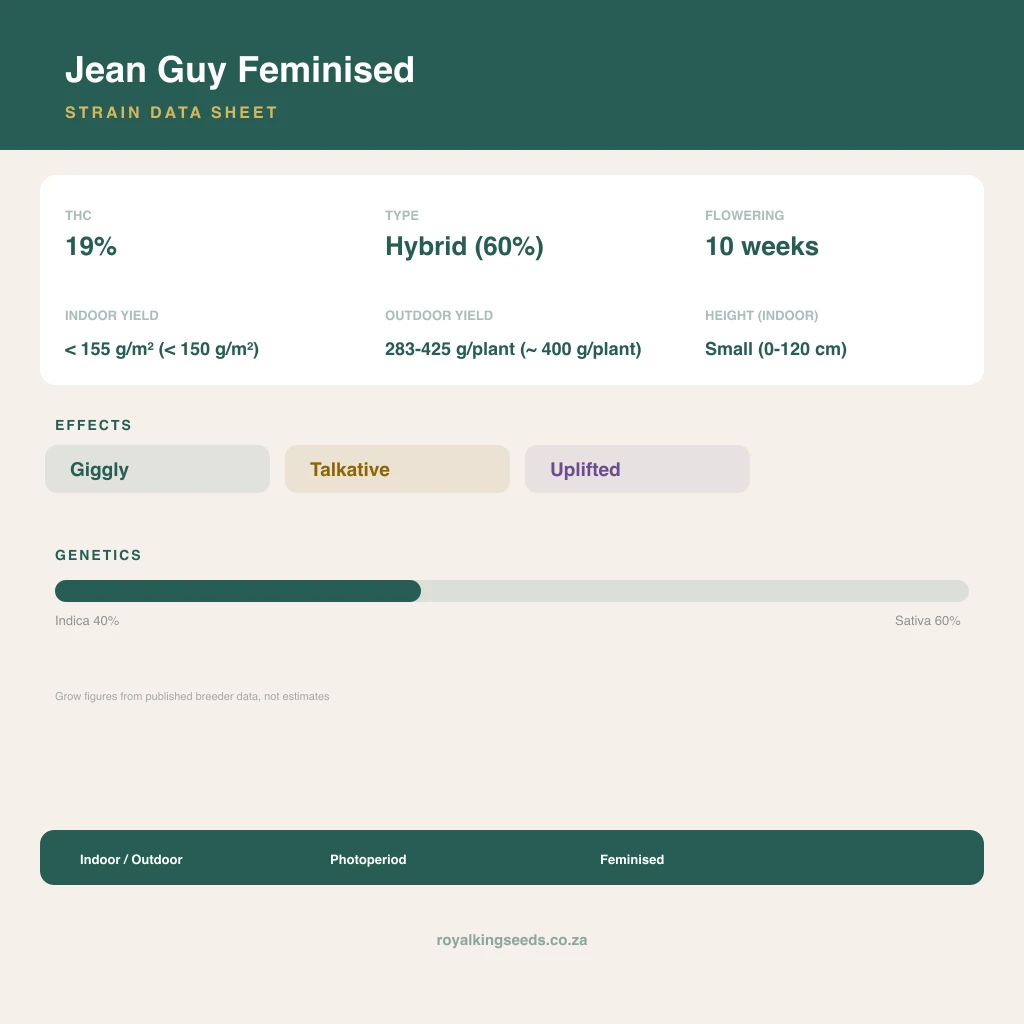 Jean Guy 40% indica / 60% sativa flower with visible trichomes