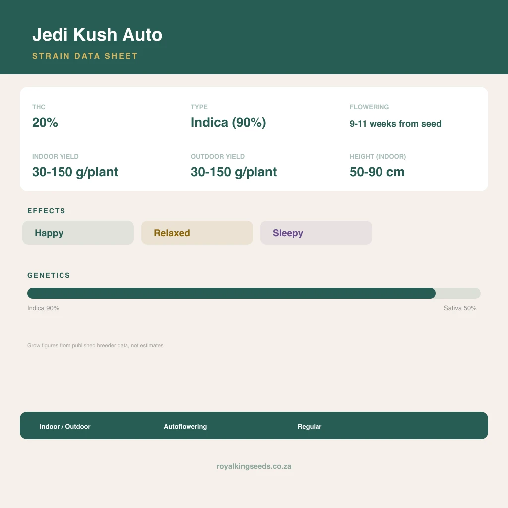 Jedi Kush 64% indica / 36% sativa flower with visible trichomes