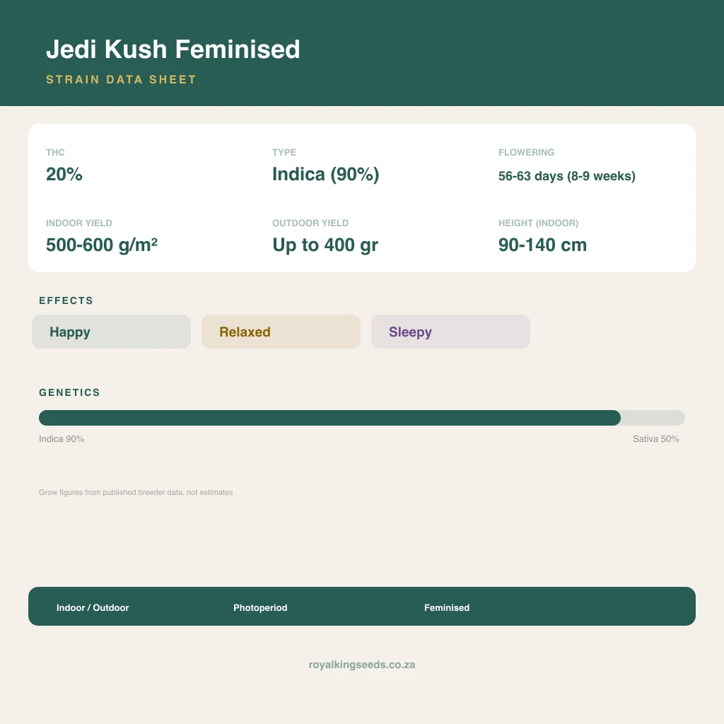 Jedi Kush 64% indica / 36% sativa flower with visible trichomes