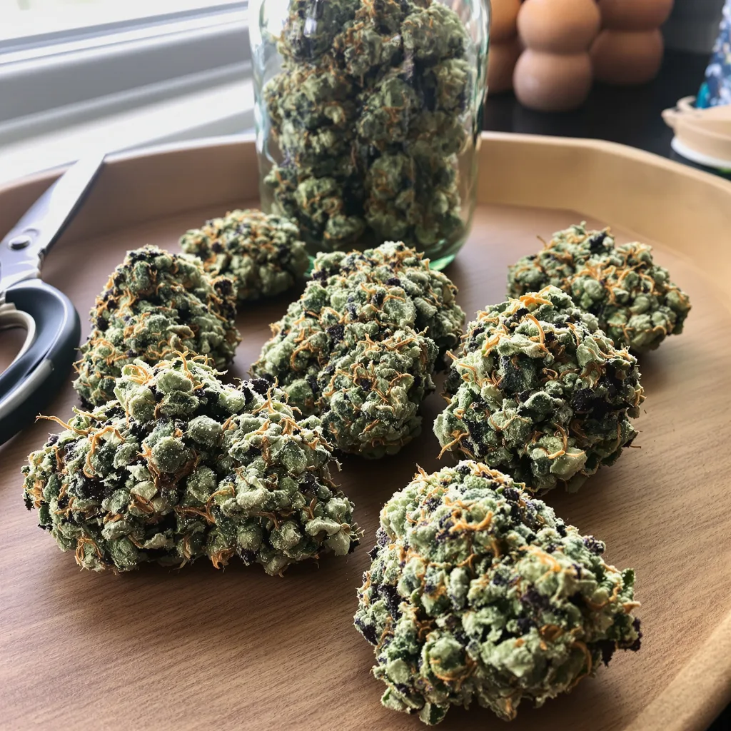 Jungle Lava 63% indica / 37% sativa flower with visible trichomes