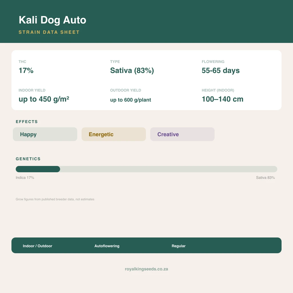 Kali Dog 17% indica / 83% sativa flower with visible trichomes