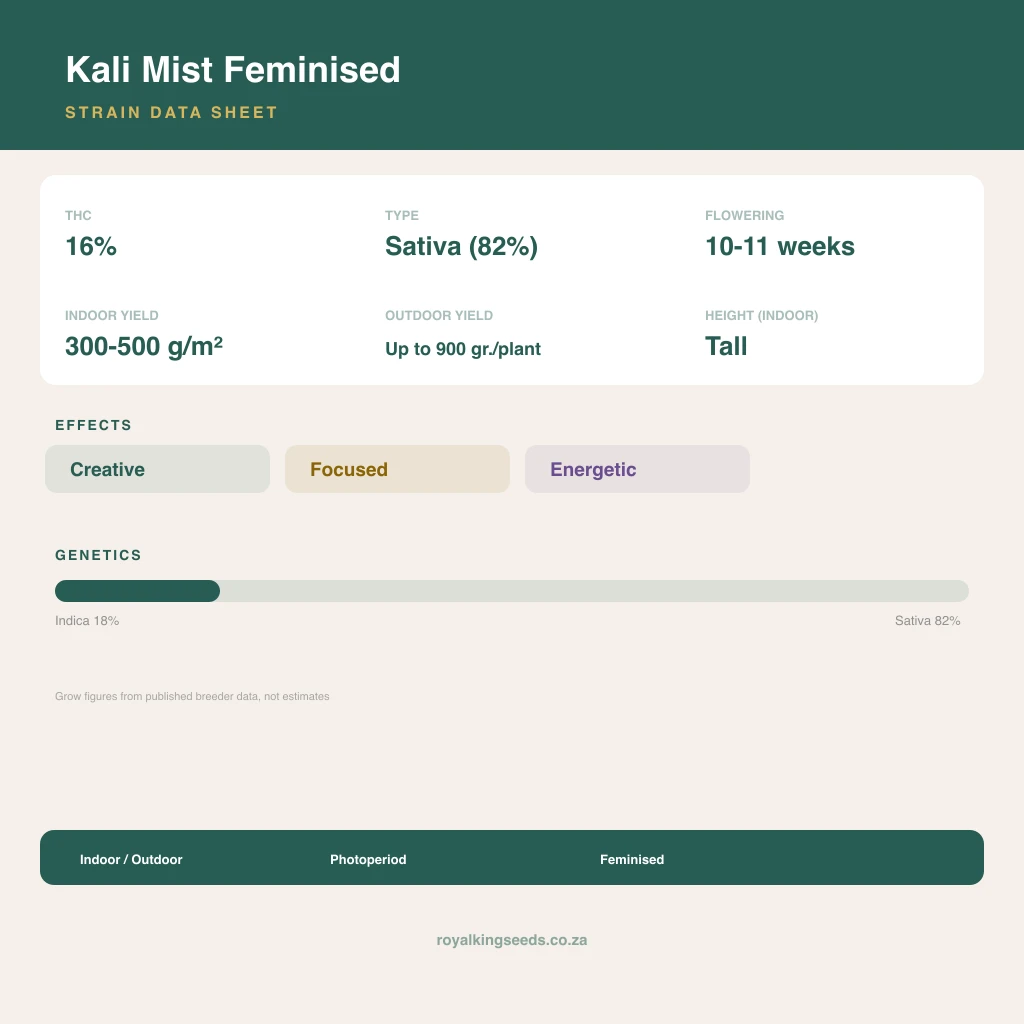 Kali Mist 18% indica / 82% sativa flower with visible trichomes