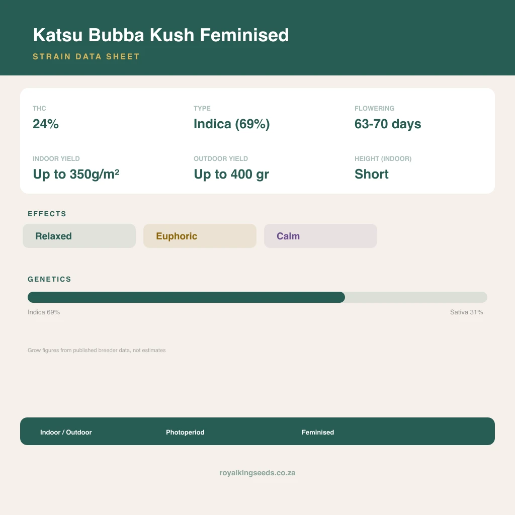 Katsu Bubba Kush 69% indica / 31% sativa flower with visible trichomes