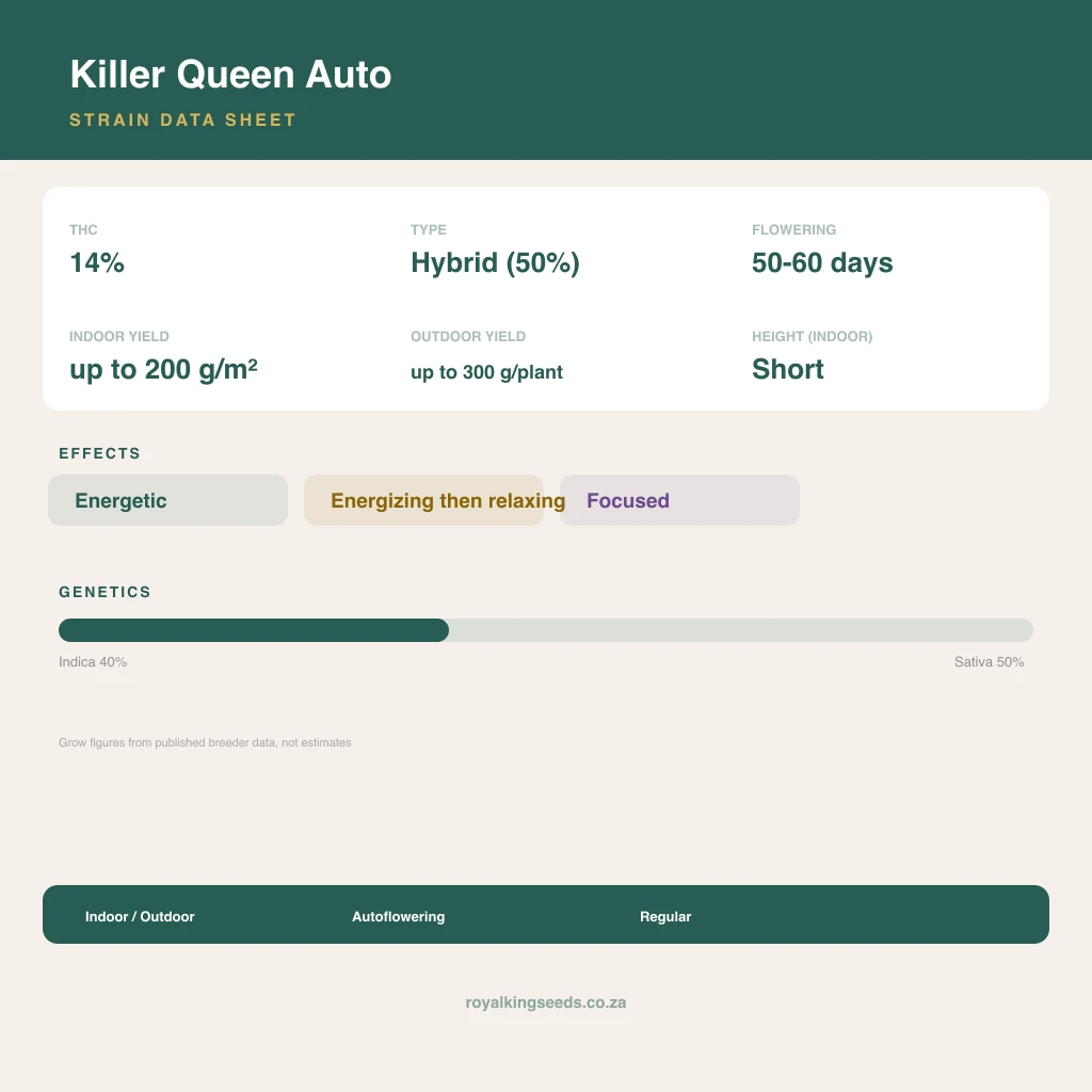 Killer Queen 44% indica / 56% sativa flower with visible trichomes
