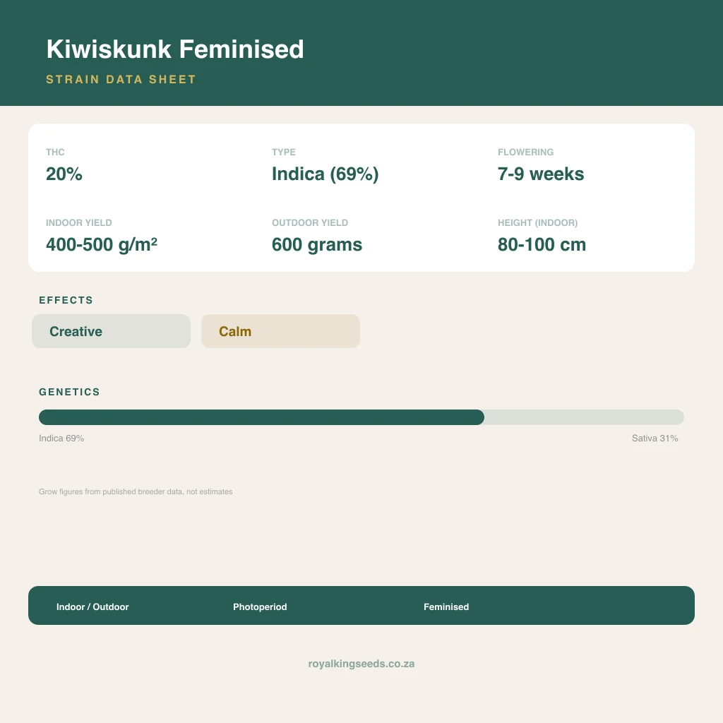 Kiwiskunk 69% indica / 31% sativa flower with visible trichomes