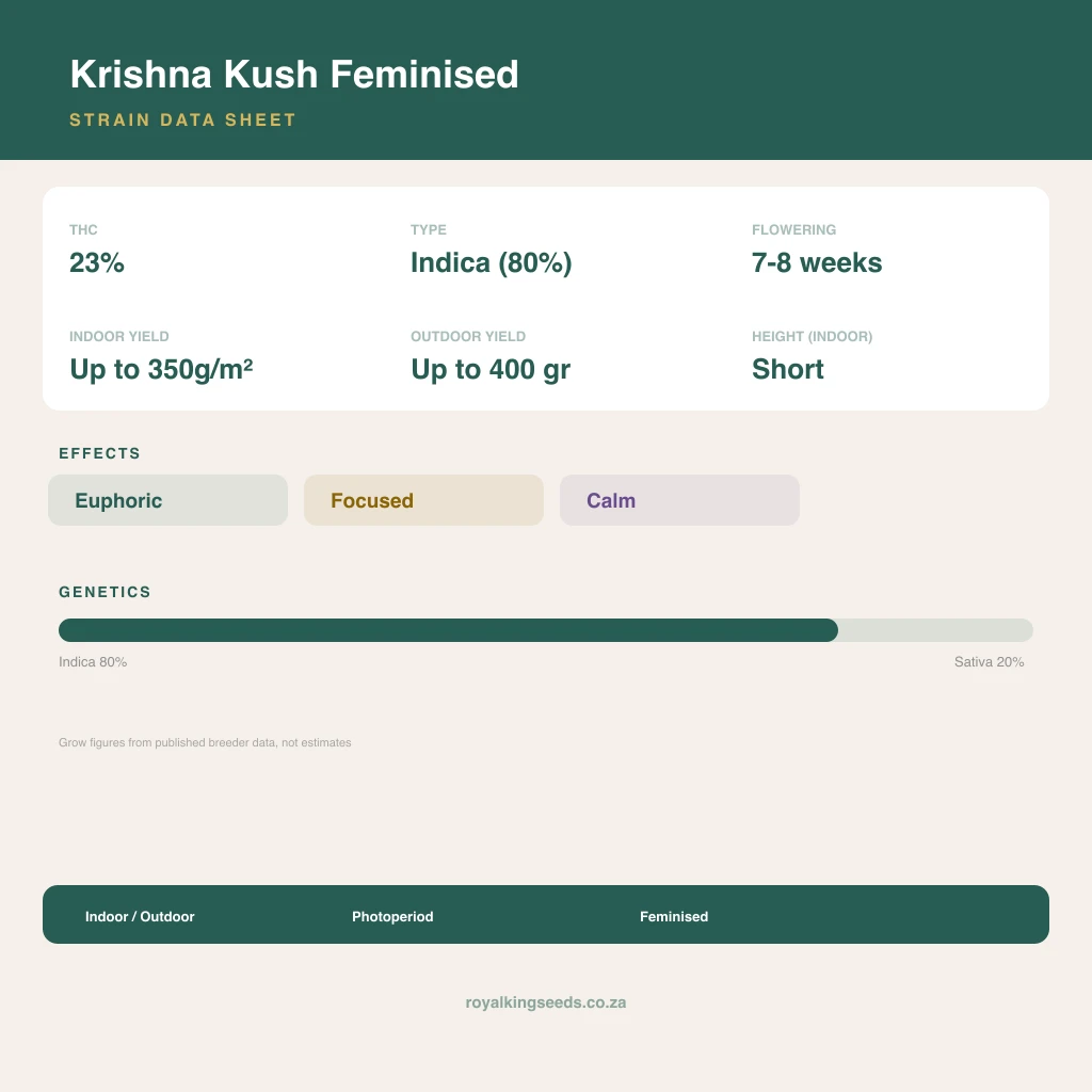 Krishna Kush 80% indica / 20% sativa flower with visible trichomes