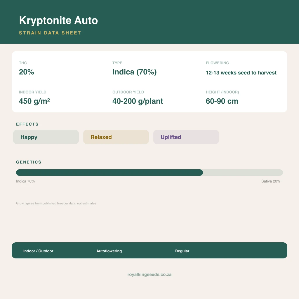 Kryptonite 78% indica / 22% sativa flower with visible trichomes
