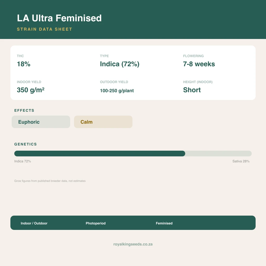 LA Ultra 72% indica / 28% sativa flower with visible trichomes