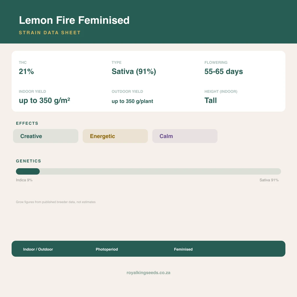 Lemon Fire 9% indica / 91% sativa flower with visible trichomes
