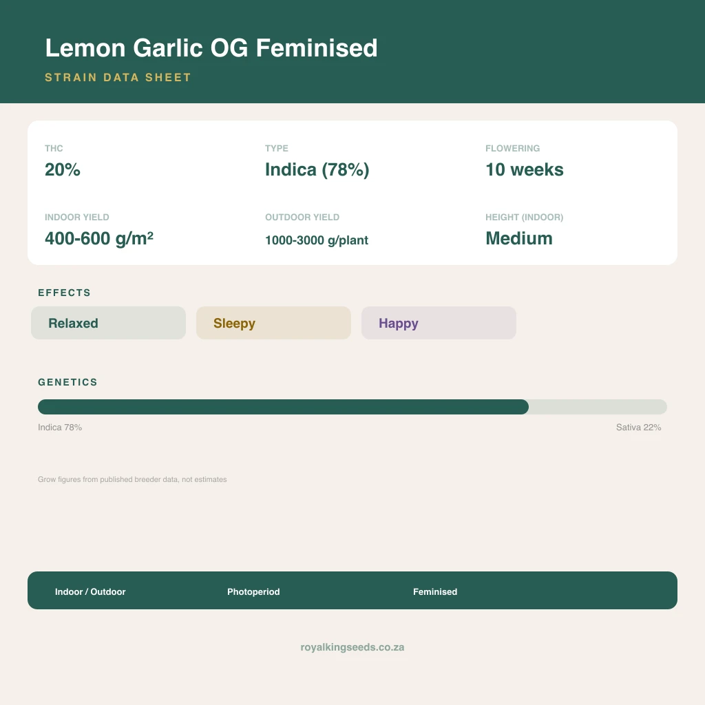 Lemon Garlic OG 78% indica / 22% sativa flower with visible trichomes
