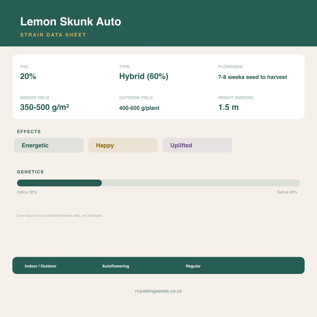 Lemon Skunk 33% indica / 67% sativa flower with visible trichomes