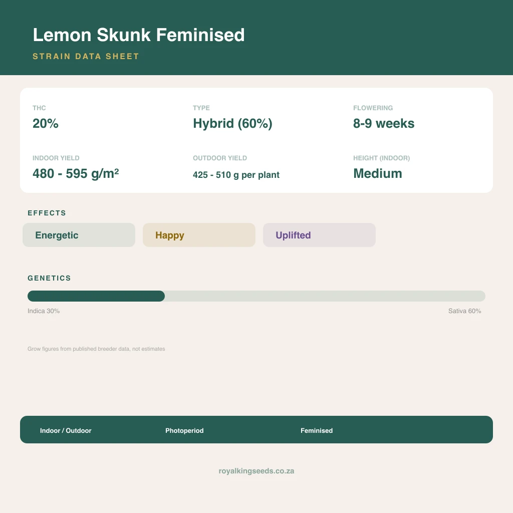 Lemon Skunk 33% indica / 67% sativa flower with visible trichomes