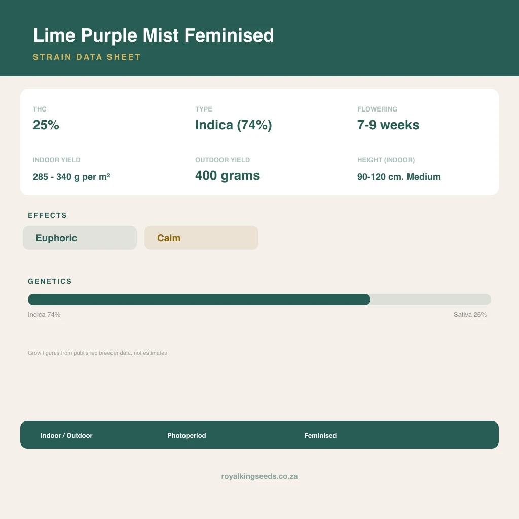 Lime Purple Mist 74% indica / 26% sativa flower with visible trichomes