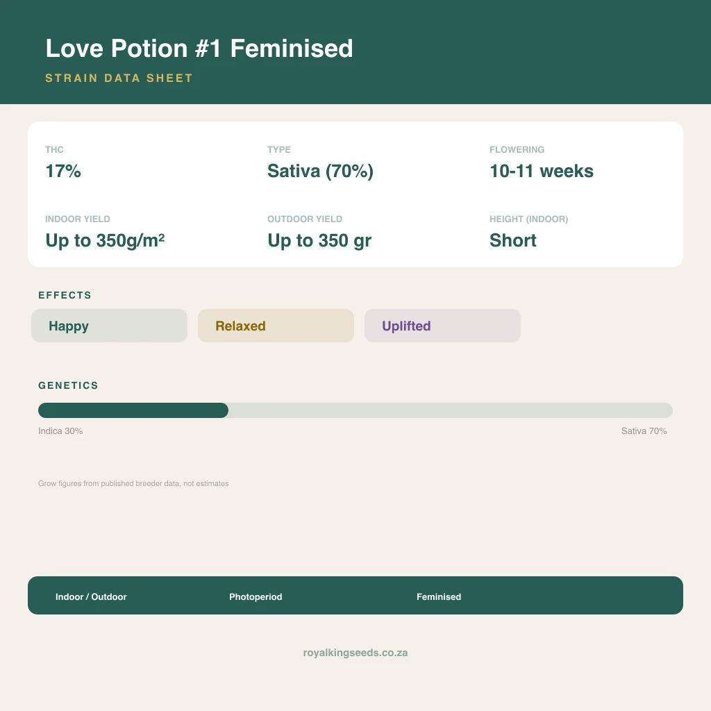 Love Potion #1 30% indica / 70% sativa flower with visible trichomes
