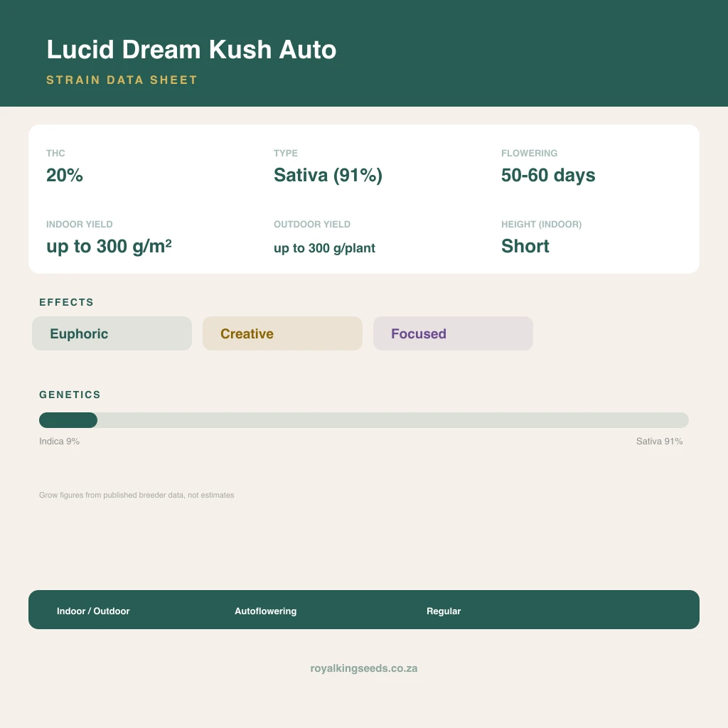 Lucid Dream Kush 9% indica / 91% sativa flower with visible trichomes