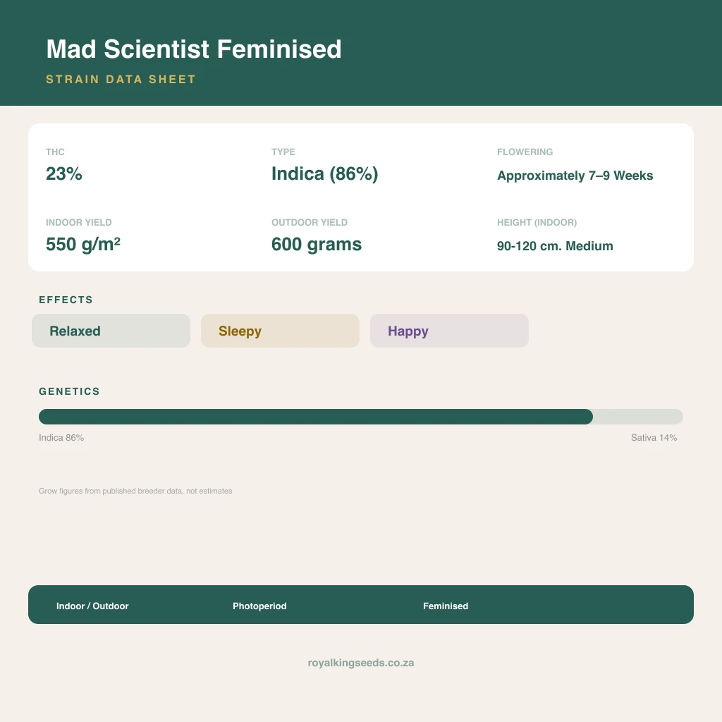 Mad Scientist 86% indica / 14% sativa flower with visible trichomes