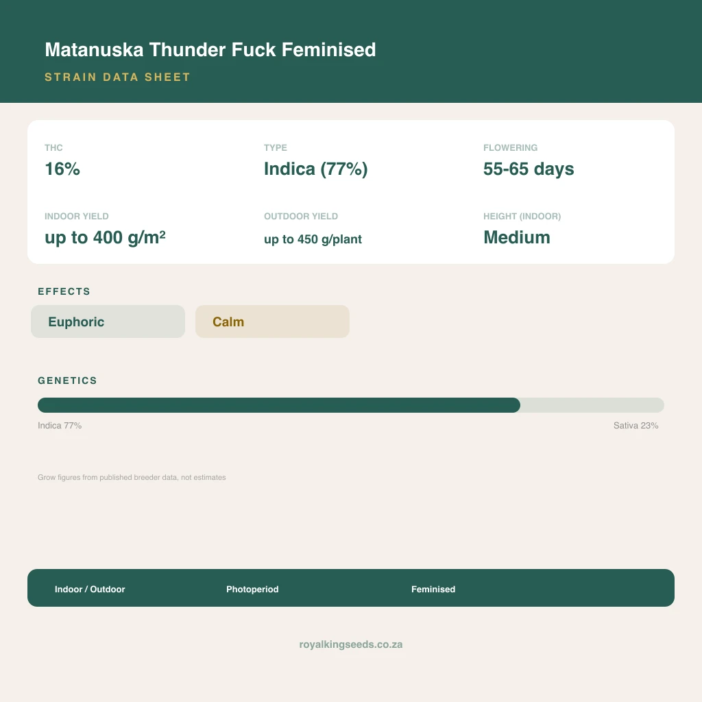 Matanuska Thunder Fuck 77% indica / 23% sativa flower with visible trichomes