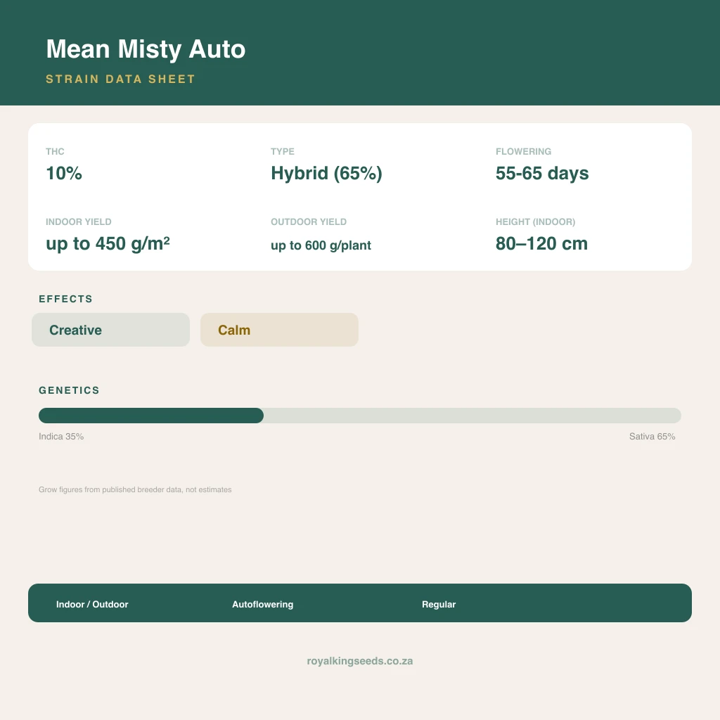 Mean Misty 35% indica / 65% sativa flower with visible trichomes