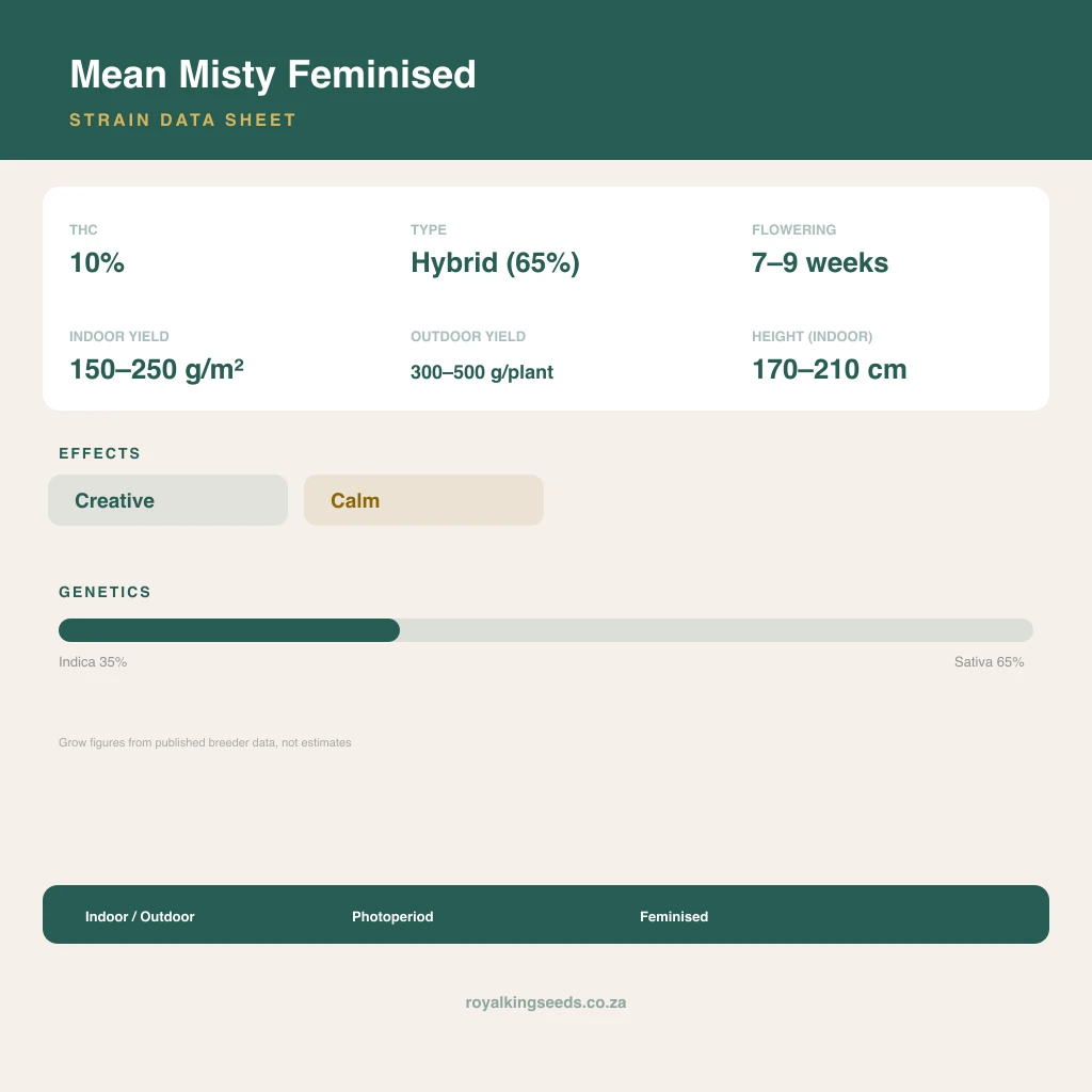 Mean Misty 35% indica / 65% sativa flower with visible trichomes