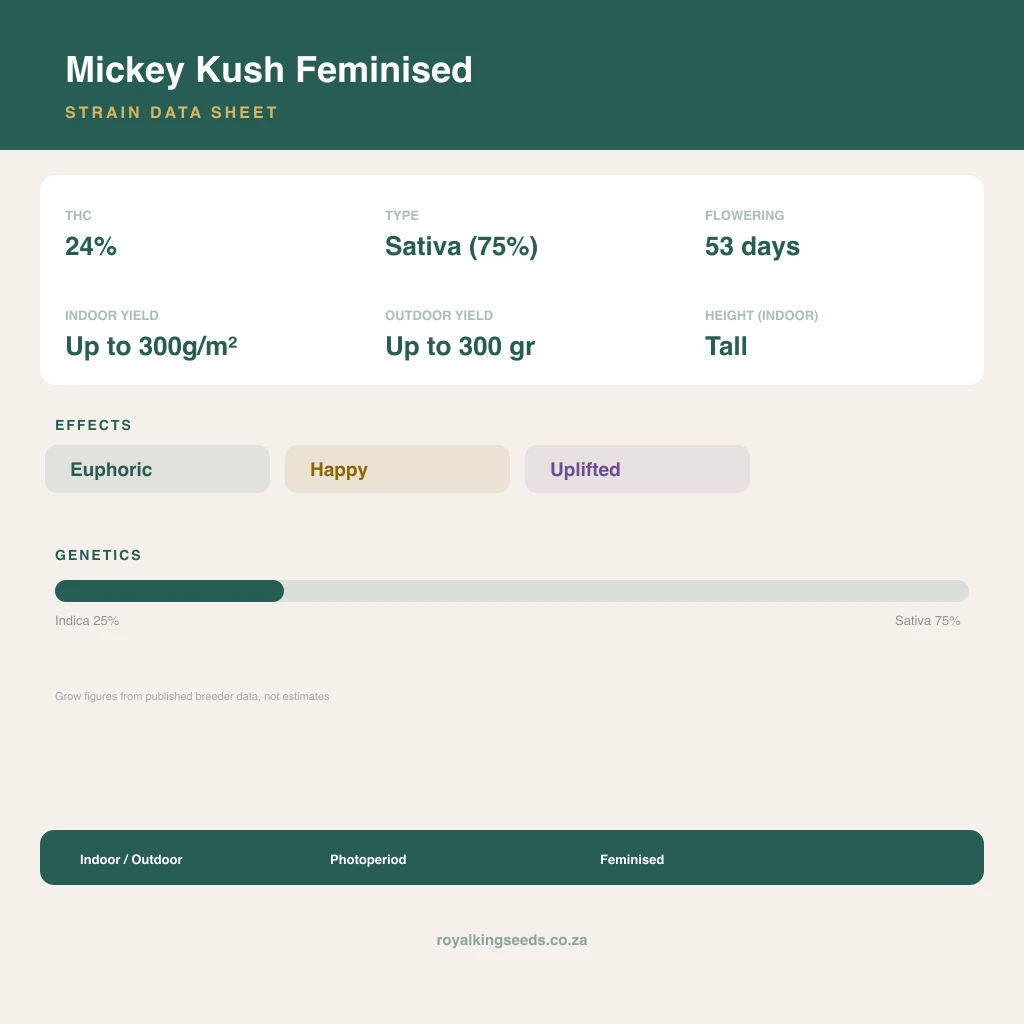 Mickey Kush 25% indica / 75% sativa flower with visible trichomes