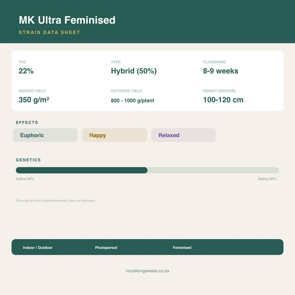 MK Ultra 50% indica / 50% sativa flower with visible trichomes